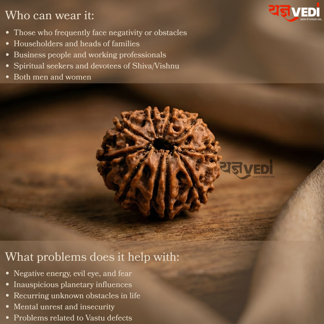 10 Mukhi Nepali Rudraksha - Das Mukhi