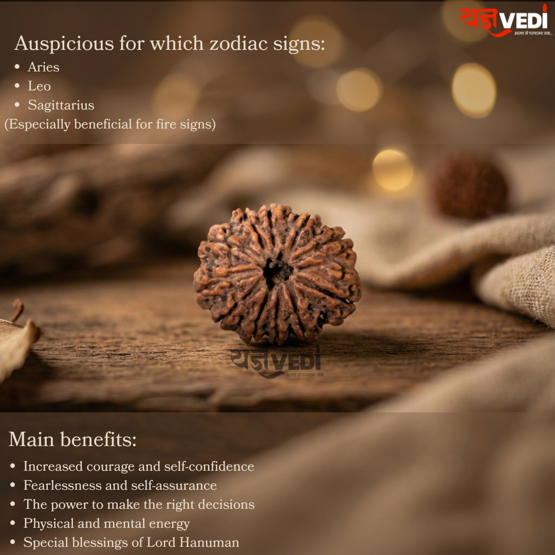 Original 11 Mukhi Nepali Rudraksha (Gyaarah Mukhi)