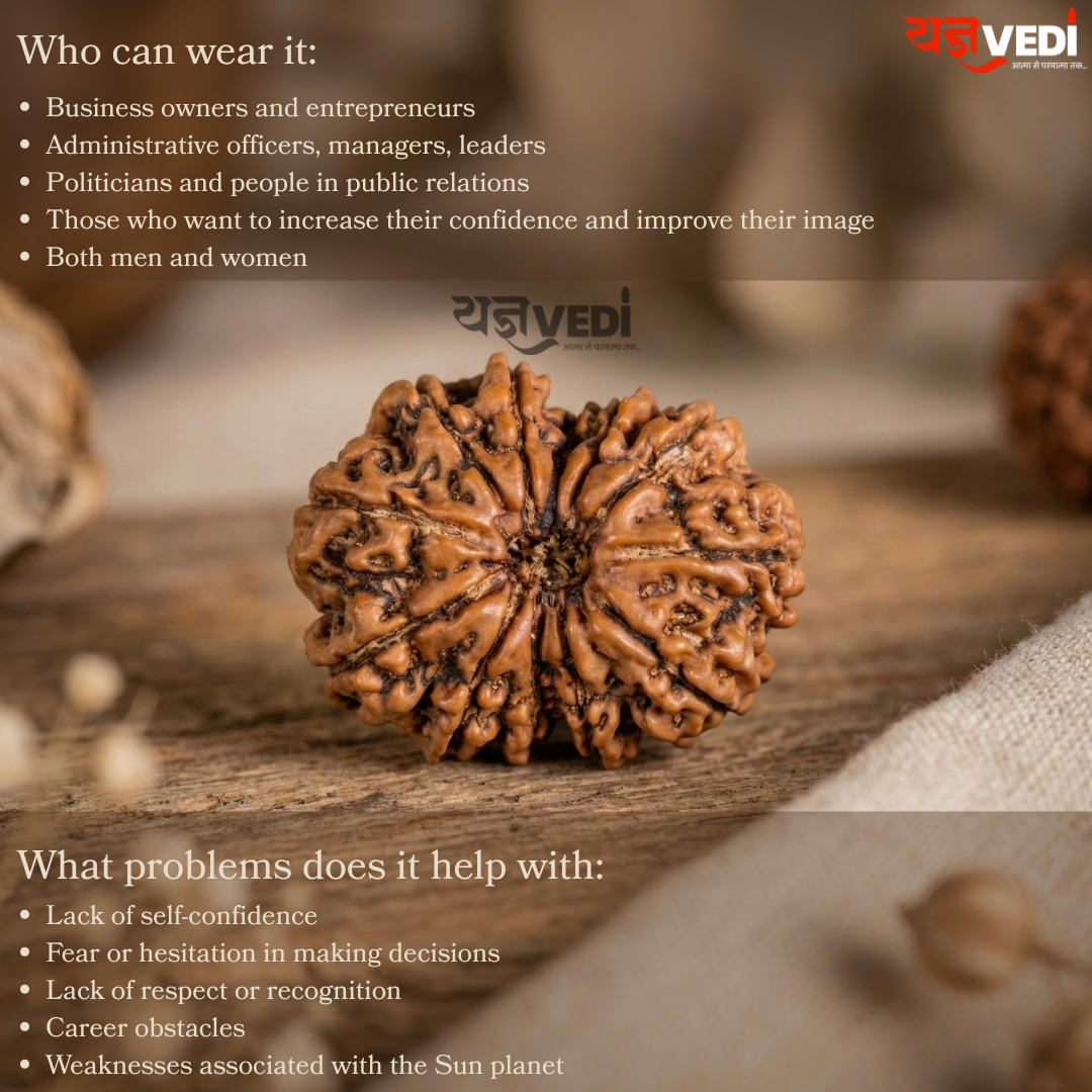 Original 12 Mukhi Nepali Rudraksha (Baarah Mukhi)