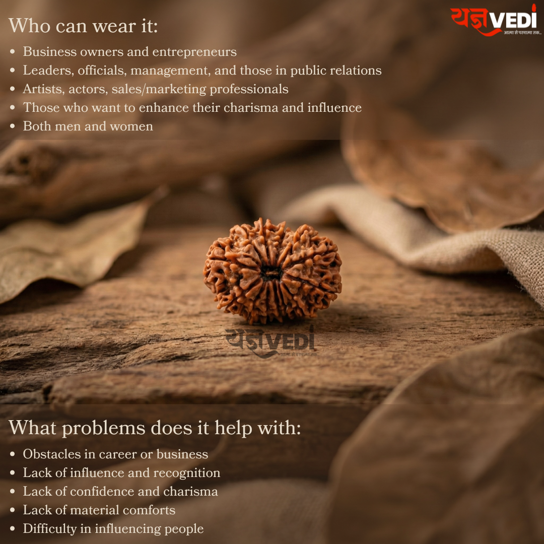 13 Mukhi Nepali Rudraksha - Terah Mukhi