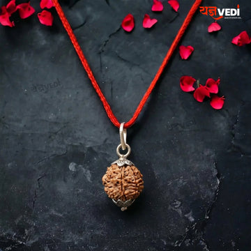 Original 7 Mukhi Nepali Rudraksha (Saat Mukhi)
