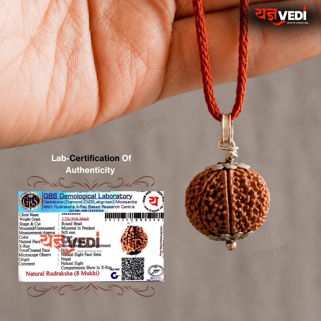 Original 8 Mukhi Nepali Rudraksha (Aath Mukhi) — Get Free 5 Mukhi Rudraksha | Yagnvedi (Limited-Time Offer)