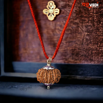 Original 10 Mukhi Nepali Rudraksha (Das Mukhi)