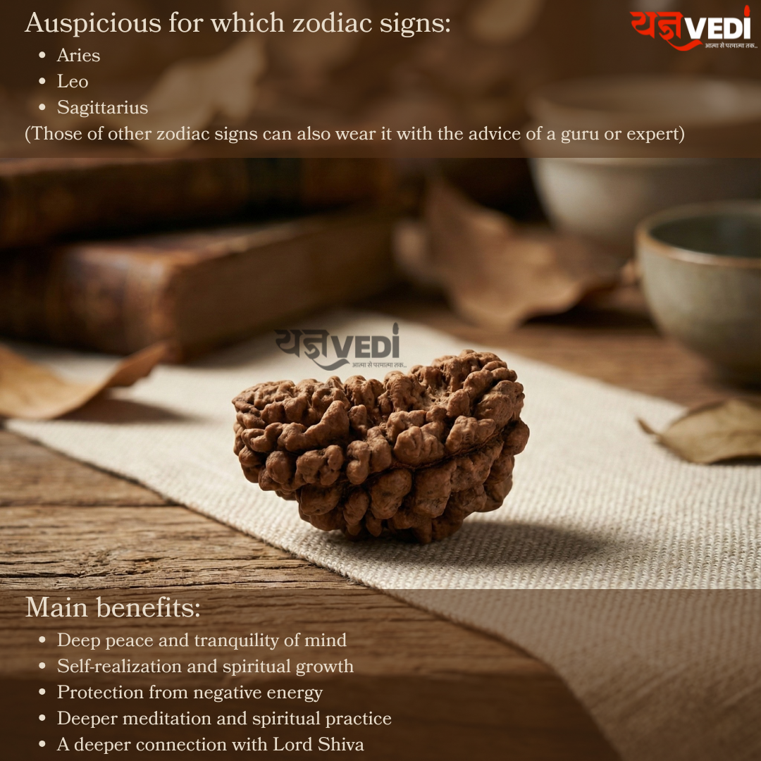 Original 1 Mukhi Indian Rudraksha (Ek Mukhi)