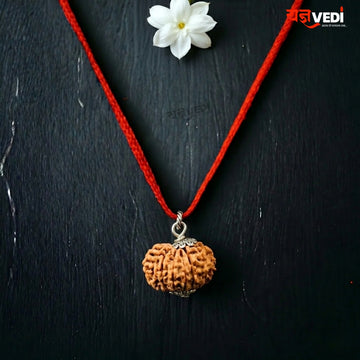 Original 12 Mukhi Nepali Rudraksha (Baarah Mukhi)