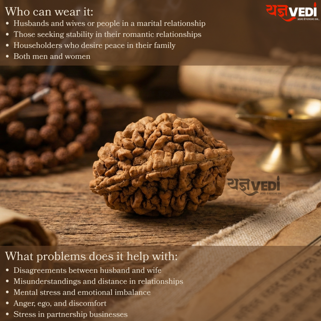 2 Mukhi Indian Rudraksha - Do Mukhi