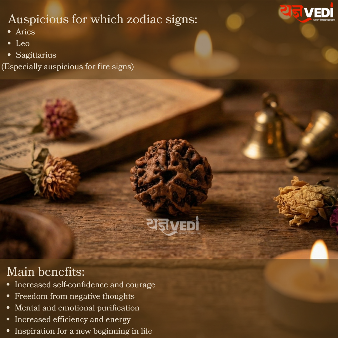 Original 3 Mukhi Indian Rudraksha (Teen Mukhi)