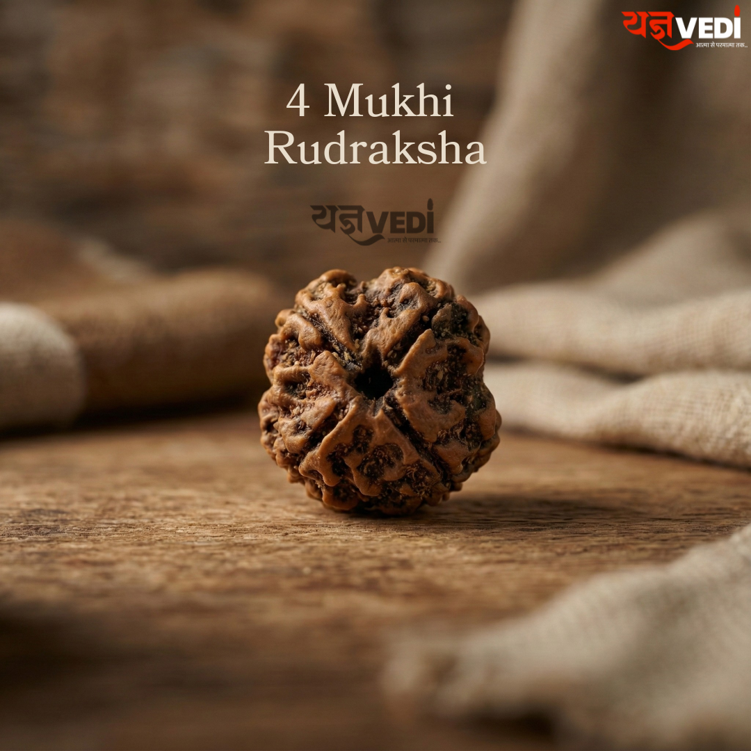 4 Mukhi Nepali Rudraksha - Chaar Mukhi