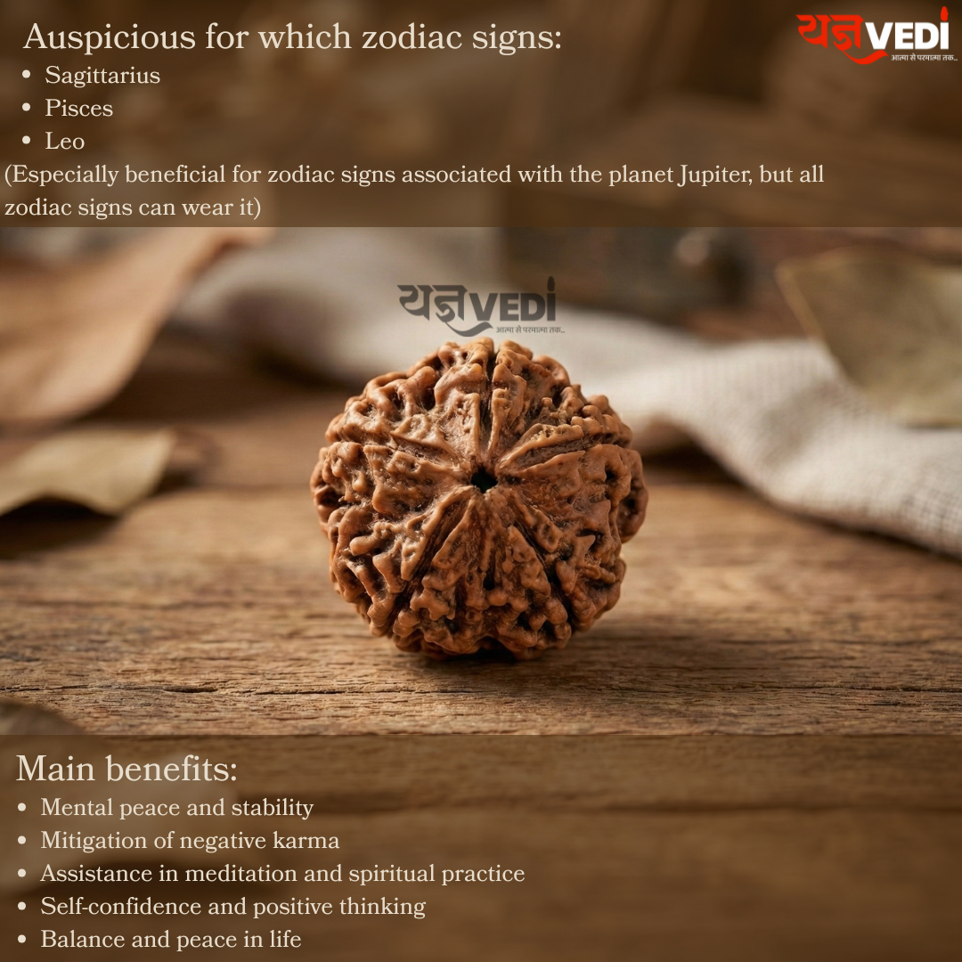 Free Original 5 Mukhi Nepali Rudraksha (Paanch Mukhi) | Yagnvedi (Limited-Time Offer)
