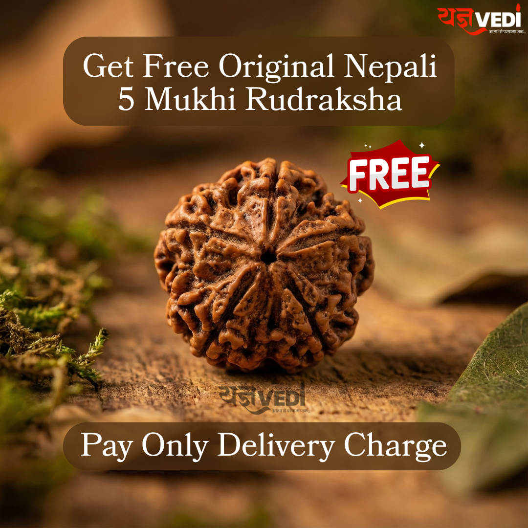 Free Original 5 Mukhi Nepali Rudraksha (Paanch Mukhi) | Yagnvedi (Limited-Time Offer)