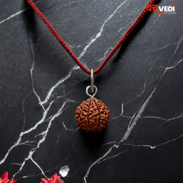 Original 3 Mukhi Indian Rudraksha (Teen Mukhi)