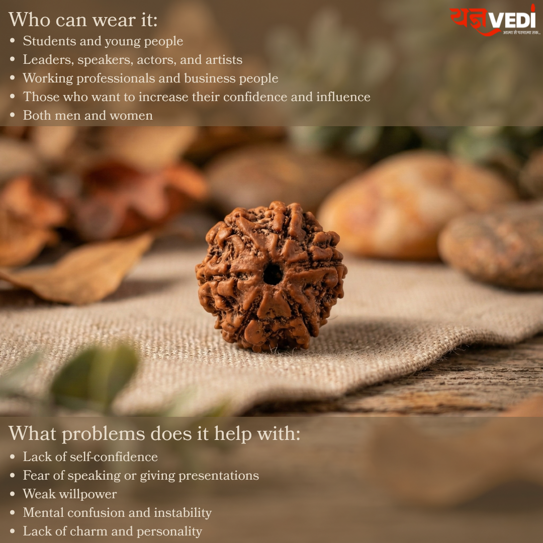Original 6 Mukhi Nepali Rudraksha (Chhey Mukhi)