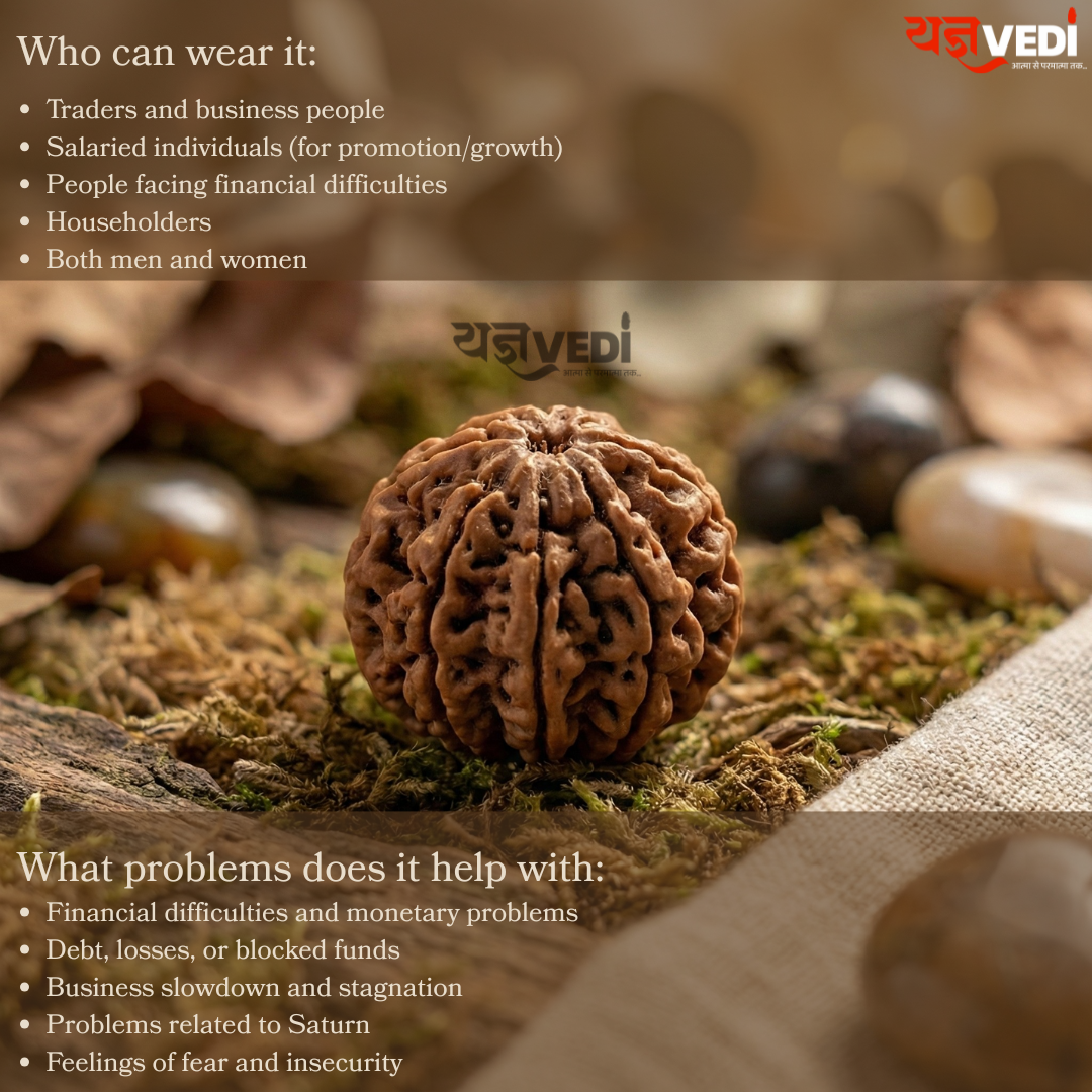 7 Mukhi Nepali Rudraksha - Saat Mukhi