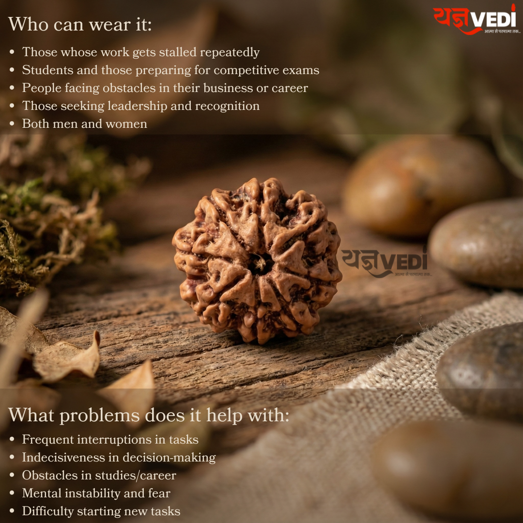 8 Mukhi Nepali Rudraksha - Aath Mukhi