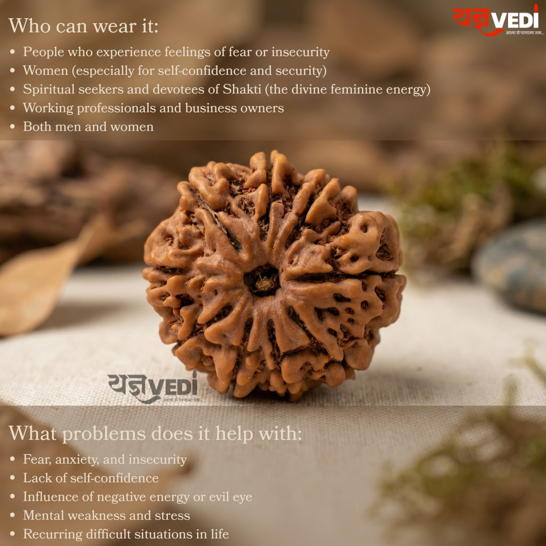 9 Mukhi Nepali Rudraksha - Nau Mukhi