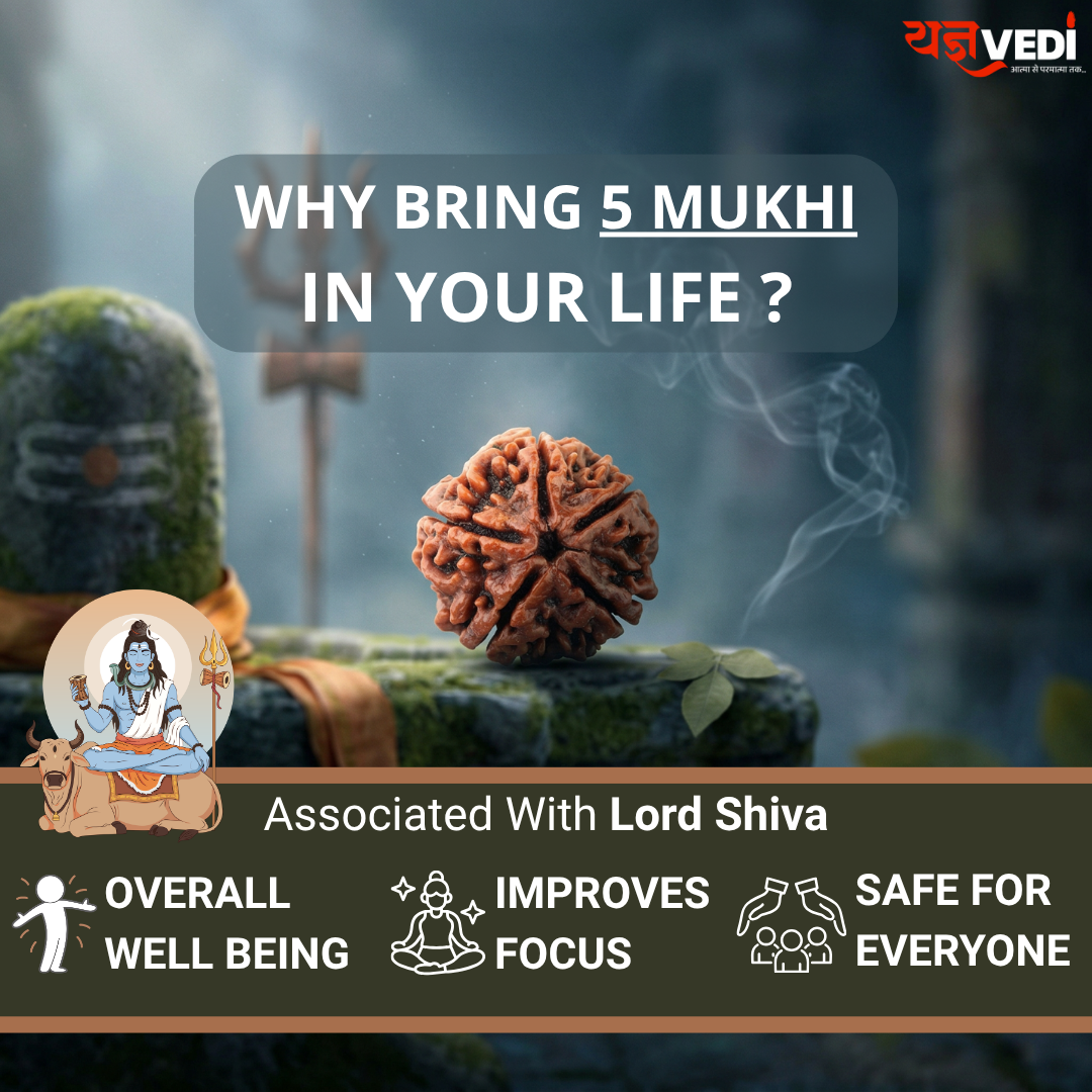 Free Original 5 Mukhi Nepali Rudraksha (Paanch Mukhi) | Yagnvedi (Limited-Time Offer)