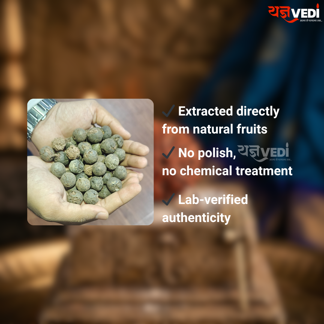 Free Original 5 Mukhi Nepali Rudraksha (Paanch Mukhi) | Yagnvedi (Limited-Time Offer)