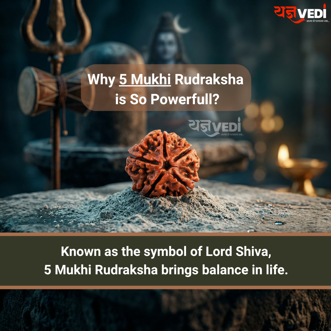 Free Original 5 Mukhi Nepali Rudraksha (Paanch Mukhi) | Yagnvedi (Limited-Time Offer)