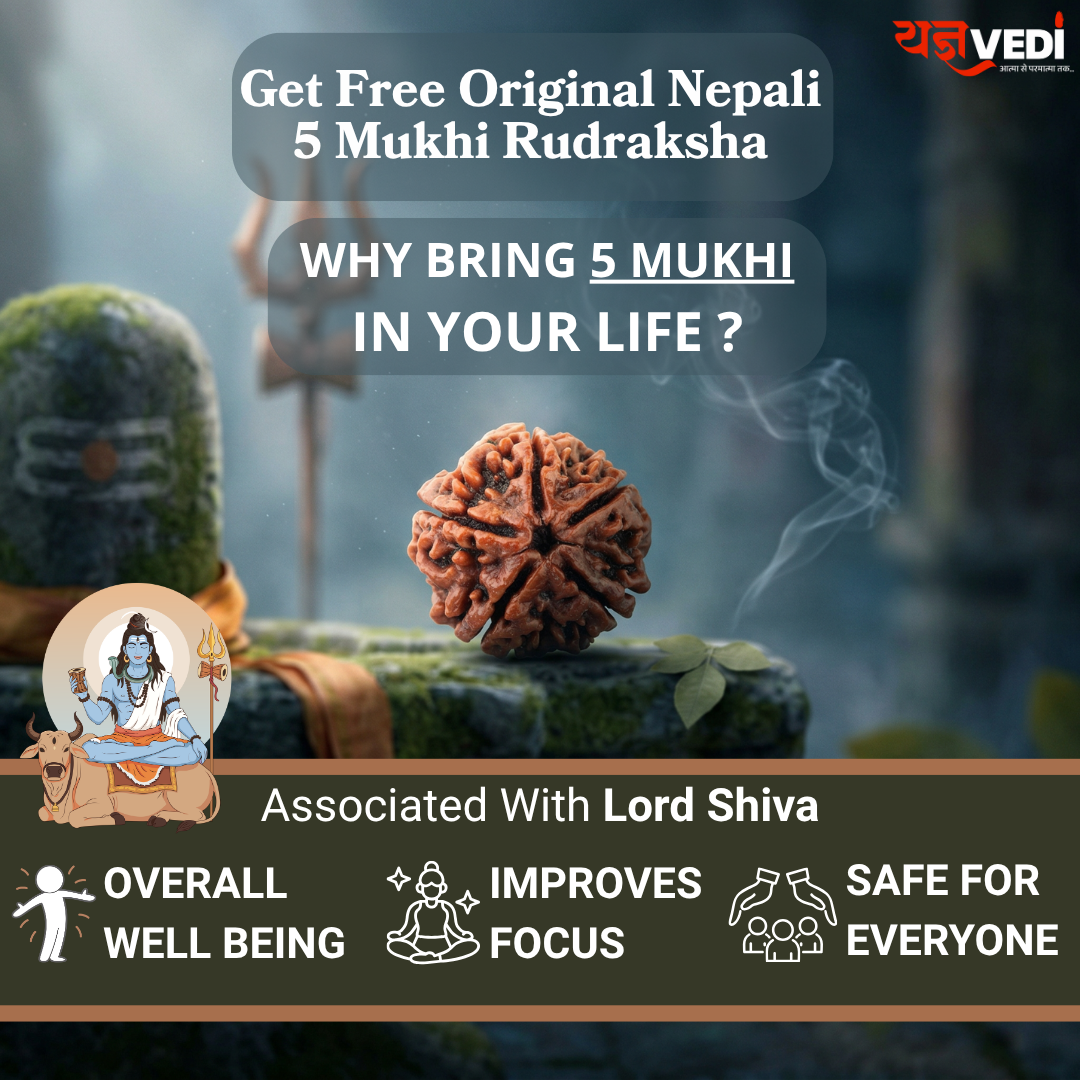Gold Plated Essential D Shape Rudraksha Bracelet